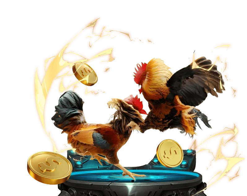 Cá cược bóng rổ 23win app